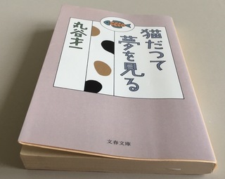 B2D88AE9-C69B-4CFC-A325-F9A180D4A9C0.jpeg